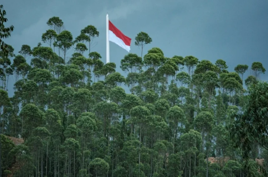 indonesia forecast go green